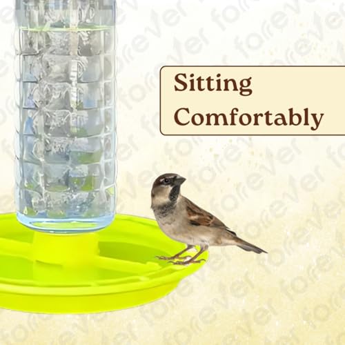 Image of FORREVER Bird Feeder - Hanging Bird Feeder for Balcony, Garden & Outdoor Use (Water Feeder)
