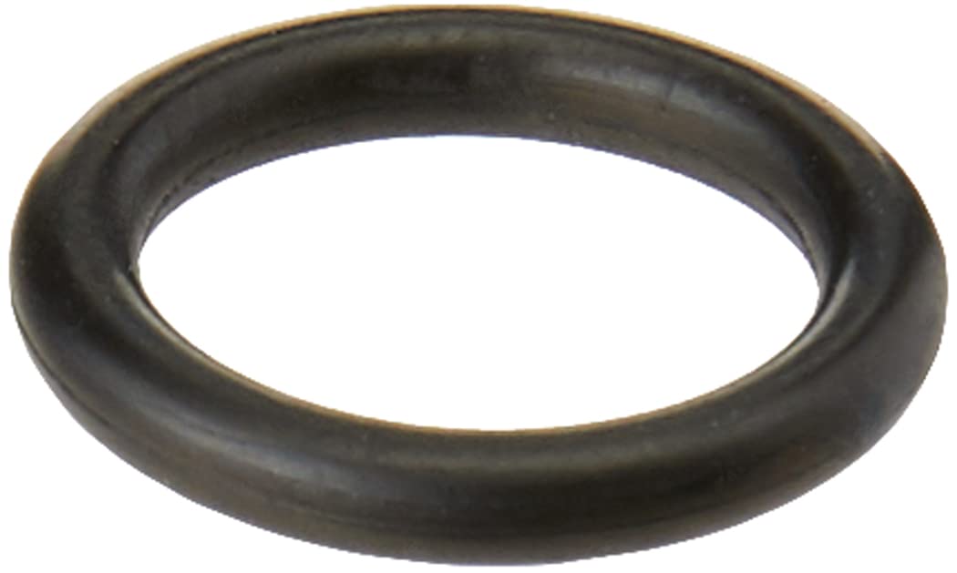 Karcher O-Ring
