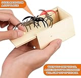 Vibbang B0DG22TFQJ lato 2