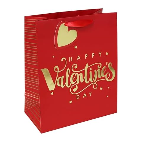 Eurowrap Valentine's Day Red Gift Bag Cover