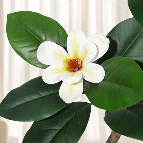 Rubber Tree 7FT Artificial Tree in White Planter Pot,Faux Plants Indoor Faux Floor Plant Artificial Plants with 8 Pcs Magnolia Flowers for Home Decor, Artificial Fiddle Leaf Fig Tree for Office