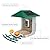 2.5K Smart Bird Feeder with Camera, 5GHz &2.4GHz Birds Watching Camera with AI Identify Bird Species, Outdoor Birds Feeder House with Solar Panel for BirdLovers (Green)