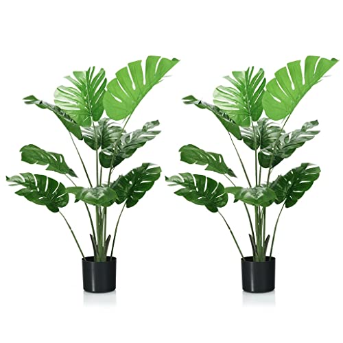 Fertilizante Plantas Verdes Compo Marca 