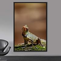 Framed Canvas Wall Art Reptile Contemporary Dramatic Hallway Iguana Multicolor Photography Reptiles - 16x24 inches