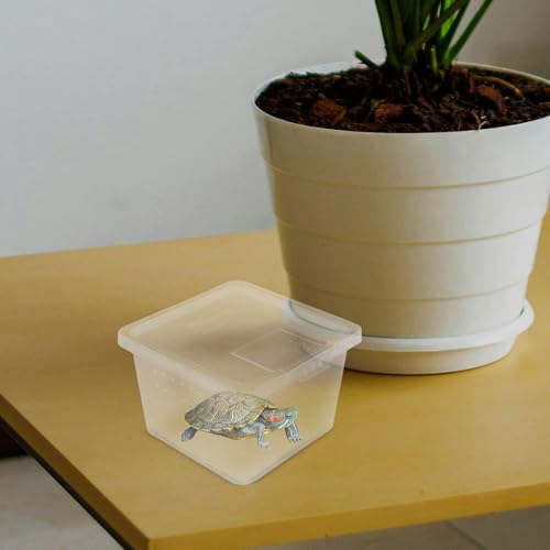 Terrarium pour reptiles boîte d'élevage lézards araignées