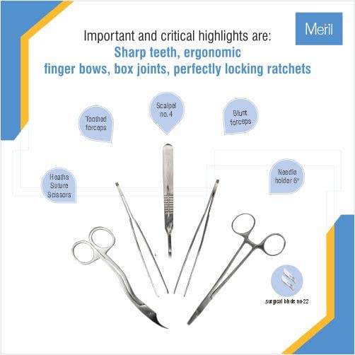 Wiz Kids Human Skeleton #2 Boneyard D&D Dungeons and Dragons Medium 1