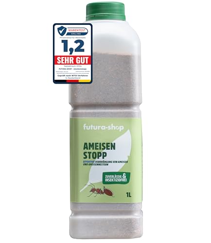 Ameisenhügel im Garten gartenfreunderatgeber.de