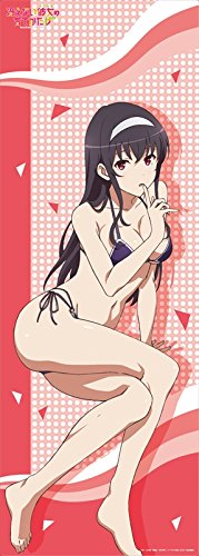 Amazon.co.jp: 冴えない彼女の育てかた コレクションポスター BOX商品