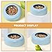 TEHAUX 1PC Ceramic Pet Bowl Flat Water Bowl Drinking Bowl Feeder for Dogs Cats Exotic Shorthair (Sky- Blue)- Pet Dog Feeder