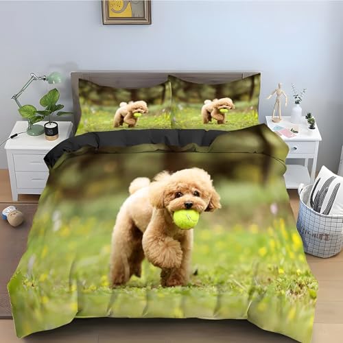 Housse couette en microfibre douce avec fermeture éclair et motif caniche 240x260