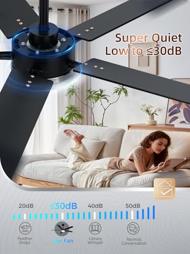 Image of LANMEL Ceiling Fan with Light, Modern Flush Mount Low Profile with Remote Control, Reversible, 3CCT Dimmable, Quiet,LED for Bedroom, Living Room, Indoor /Outdoor Patio Use 52 Inch Silver & Black