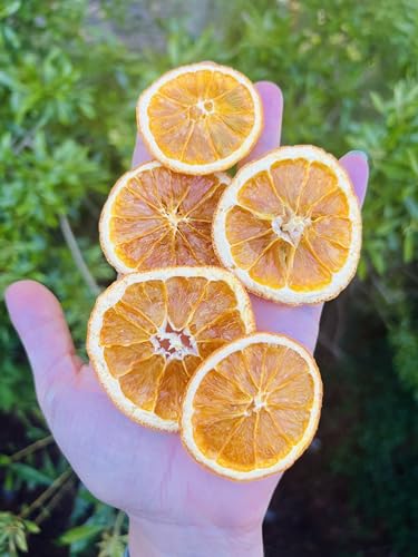 Dried Orange Slices. Cocktail Garnish. Dehydrated Citrus. Bohemian Crafting for Garlands.7oz. Unsweetened. Potpourri Ingredients. Good for Snacking. Wedding decoration. Baby shower. All natural fruit rings.