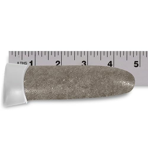 Jobe’s Palm Fertilizer Spikes, Easy Plant Care Fertilizer for Palm Trees and Plants, 5 Count - Thumbnail 6
