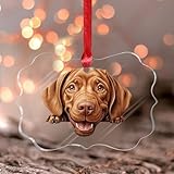 Ampie applicazioni: festeggia le festività natalizie con questi adorabili ornamenti commemorativi. Questi ornamenti per albero sono perfetti come regalo per le vacanze appena sposate, Natale, Mr & Mrs, matrimoni, addio al nubilato, coppie di fidanzati, vacanze, etichette, primo Natale del bambino, insegnanti, inaugurazione della casa, animali domestici o calza stuffers