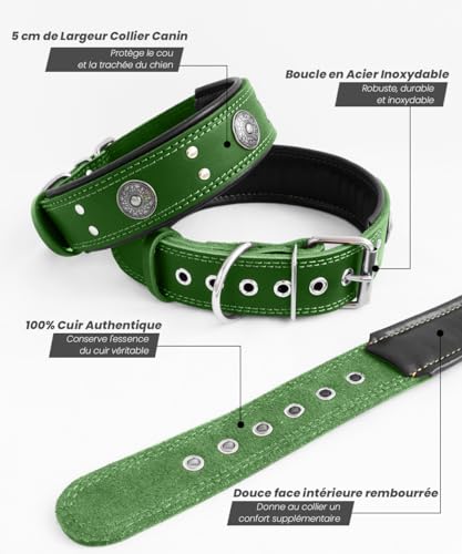 Hundehalsband Leder, 5 cm Breites Robustes Echtes Lederhalsband, Handgefertigt, Weich und Luxuriös, Auffällige Beste Wahl für Große und Mittelgroße Hunderassen, Grün S