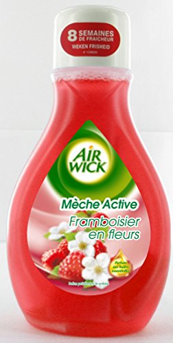  Air Wick Desodorisant Maison Continu Mèche Act...