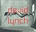 Produktbild David Lynch: Dark splendor