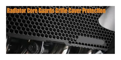 Grille radiateur R1 évitez les fuites et impacts moto 2015-2025 - 2