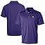 Minnesota Vikings, Purple