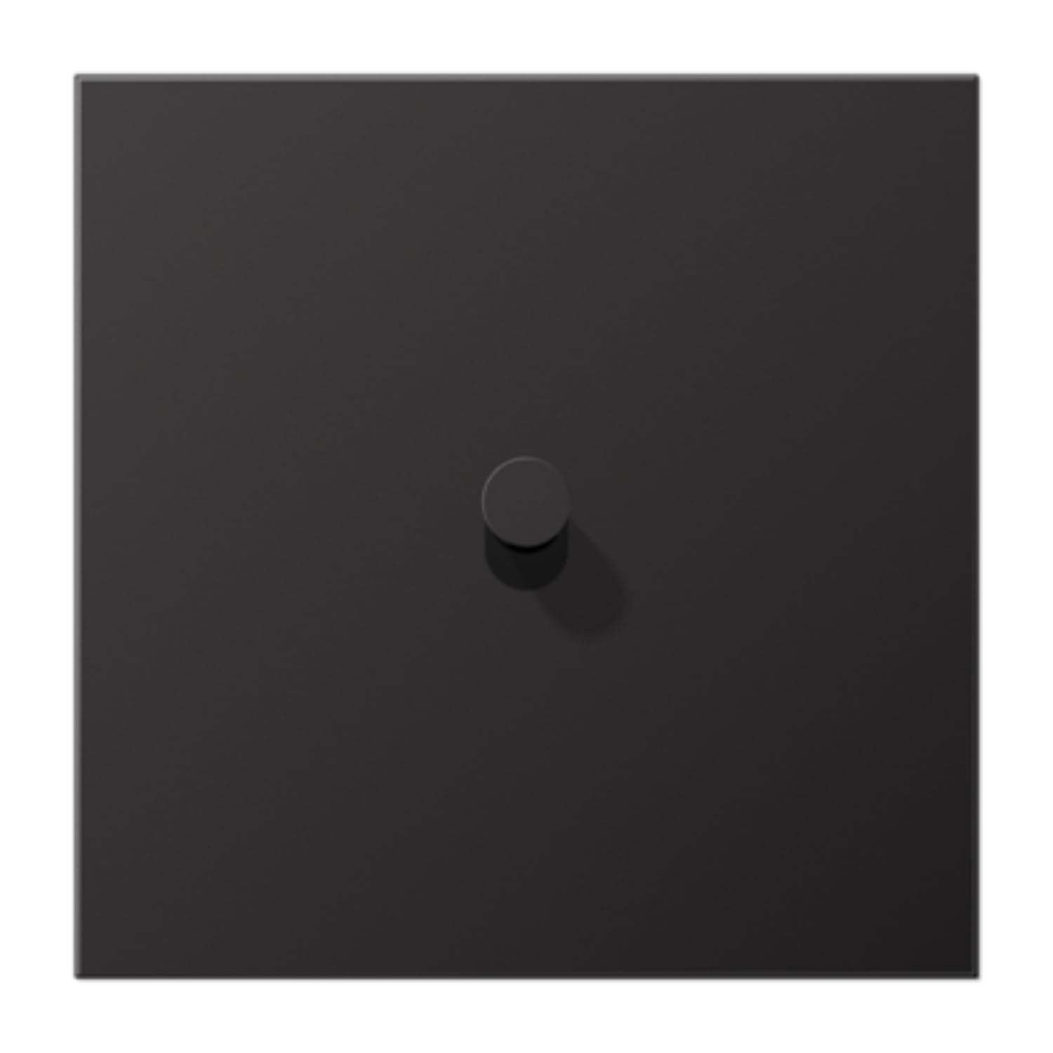 Plaque 1 x 1 pal. Cône 1912 Dark plaque de finition interrupteur JUNG AL12-0DK01
