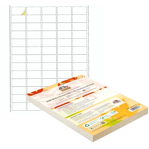 Double Dragon, 100 Sheets Pack A4 Self Adhesive Address Labels Sticker Paper, 65 Labels Per Sheet, 38.1 x 21.2mm (6500 Labels)