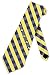 Michigan Check Poly Necktie