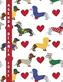  Agenda 2022 dia por pagina, calendario planificador diario sin horas grande 8.5\" x 11\" anual, Español 12 meses 365 días, día vista, agenda anual ... con diseño de perros tejoneros salchichas