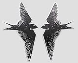 FlyEx