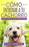 Cómo entrenar positivamente a tu cachorro...