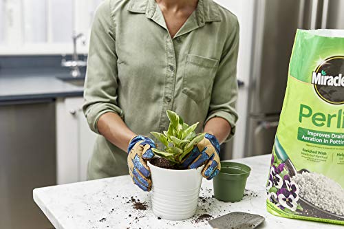 Scotts Perlite, 8 qt.