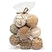 Jodhpuri vase-fillers, Natural