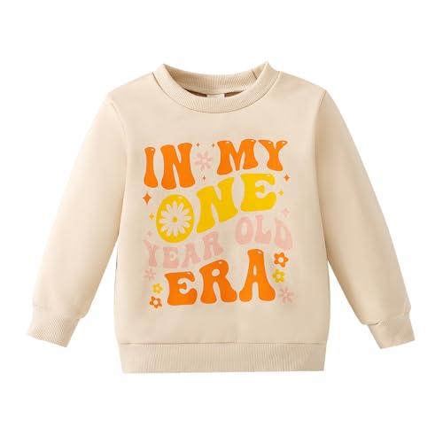 Image of Toddler Baby Girl First Birthday Outfit In My One Year Old Era Sweatshirt Tops Little Princess 1st Birthday Clothes