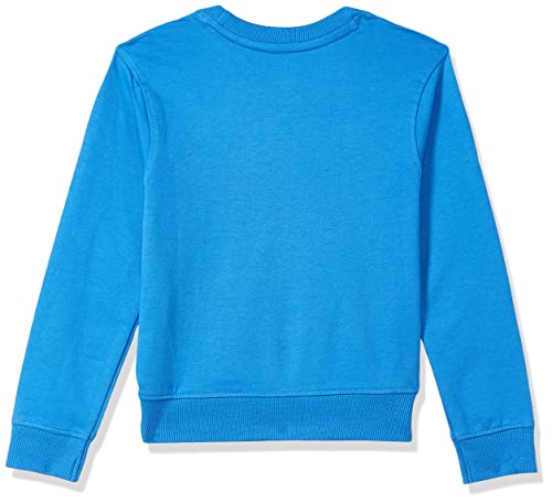 Image of U.S. Polo ASSN. Boys Sweatshirt