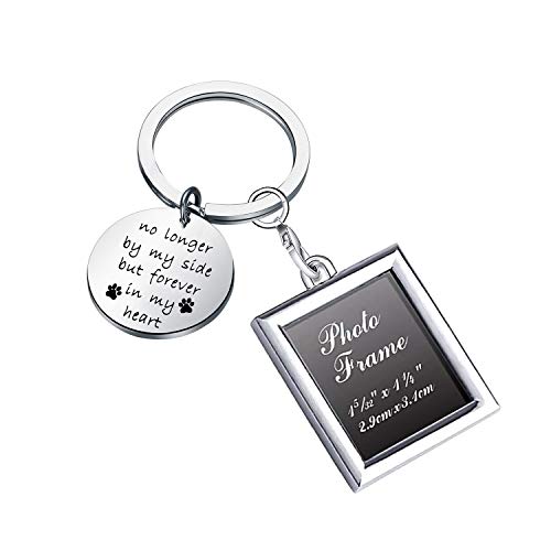 Gzrlyf Pet Memorial Picture Frame Keychain Pet Remembrance Gifts No Longer by My Side but Forever in My Heart (Picture Frame Keychain)