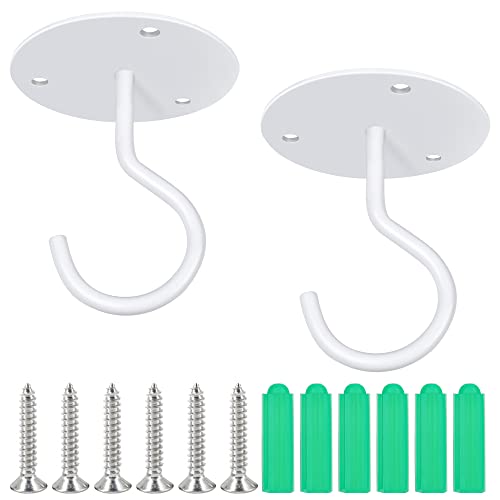 10 Best 10 Hanging Plants From Ceiling Of 2021 of 2022