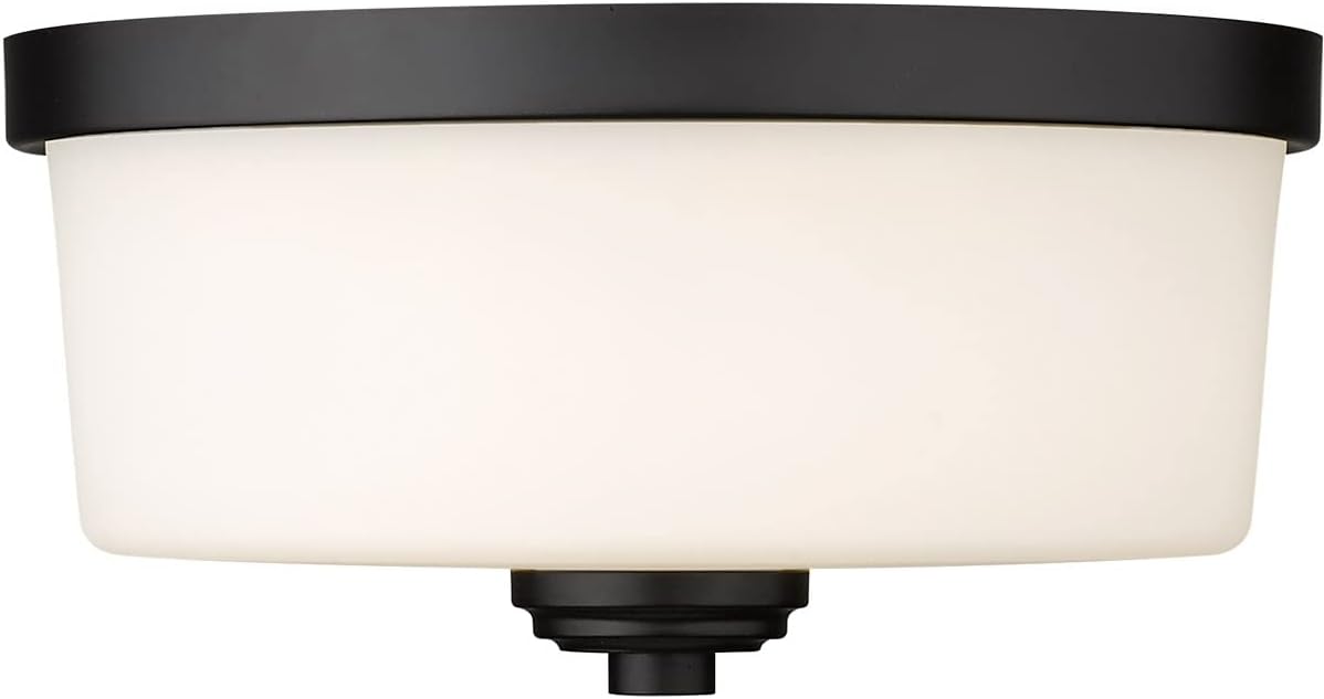 Z-Lite 2 Light Flush Mount 220F2-MB, Black,12" Round