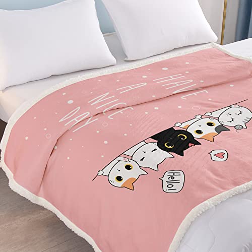 Soulzzz Cute Cat Pattern Throw Blanket Super Soft Sherpa Fleece Blanket Animal Print Fluffy Plush Lightweight Cozy Blanket For Adults Kids Teen Cat Lovers Throws Blankets #TOP6