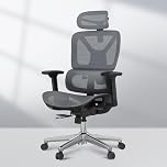 FLEXISPOT ErgoX Ergonomic Office Chair With 3D Armrests & Headrest Mesh Desk Chair with 5D Lumbar Support & Seat Depth Adjustment Task Chair Adaptive Comfort for Home & Work