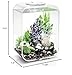 biOrb Life 15 Acrylic 4-Gallon Aquarium with White LED Lights Modern Compact Tank for Tabletop or Desktop Display, Transparent