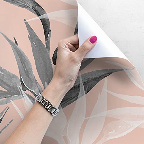 Papier Peint Meuble Repositionnable Magic-Stick Décoration Murale Paradis Oiseau Girly - 4