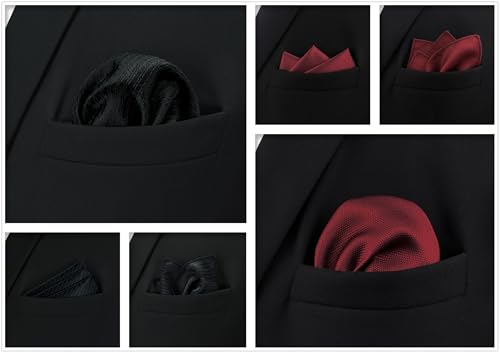 SHLAX&WING Assorted 5 Pieces Mens Silk Pocket Squares Handkerchiefs Set Lot