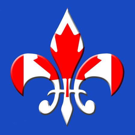 Interrupteur à baïonnette Fleur de lis d'exception, design 3dRose - 4