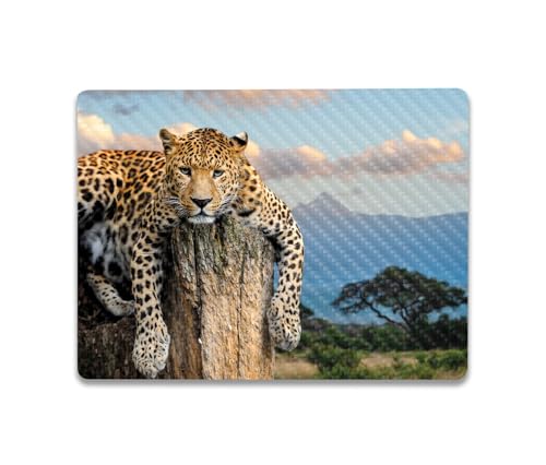 Image of MightySkins Carbon Fiber Skin Compatible with Microsoft Surface Laptop Go 3 (2023) Full Wrap Kit - Chill Leopard | Protective, Durable Textured Carbon Fiber Finish | Made in The USA