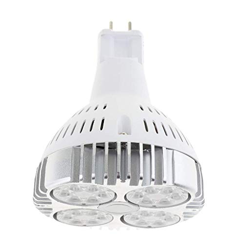 Tubayia Bombilla LED PAR30 G12 para faros delanteros, para casa, oficina, hotel, iluminación (30 W)