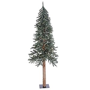 Vickerman 6' Tall Natural Bark Alpine Artificial Christmas Tree, 250 Warm White Italian LED Mini Lights, Faux Christmas Tree, Seasonal Indoor Home Decor Vickerman 6 Tall Natural Bark Alpine Artificial Christmas Tree 250 Warm White Italian LED Mini Lights Faux Christmas Tree Seasonal Indoor Home Decor