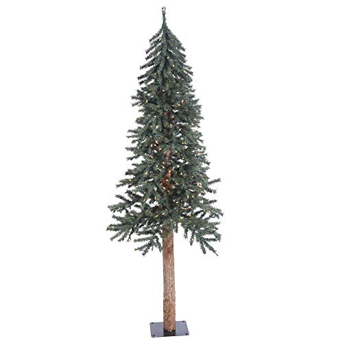 Vickerman-6-Tall-Natural-Bark-Alpine-Artificial-Christmas-Tree-250-Warm-White-Italian-LED-Mini-Lights-Faux-Christmas-Tree-Seasonal-Indoor-Home-Decor Vickerman 6 Tall Natural Bark Alpine Artificial Christmas Tree 250 Warm White Italian LED Mini Lights Faux Christmas Tree Seasonal Indoor Home Decor