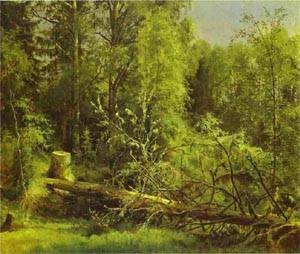 Peinture à l'huile Fallen Tree 1875 Ivan Shishkin 20x24 pouces pour salon