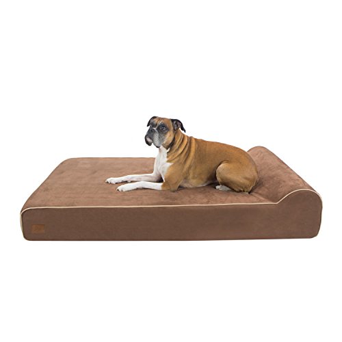 Top 5 Best Dog Beds for Dalmatians (with Complete Reviews) DogVills