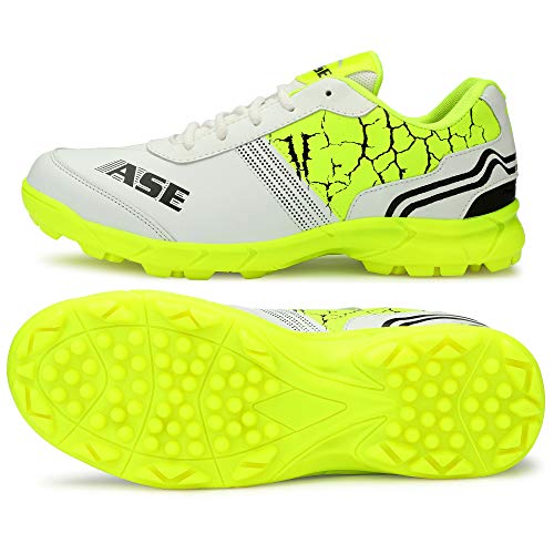 ASE Men's Professional Cricket Shoes