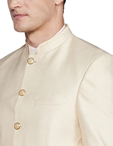 Image of Raymond Rayon Blend Men's Full Sleeve Contemporary FIT Light Fawn Formal Suit